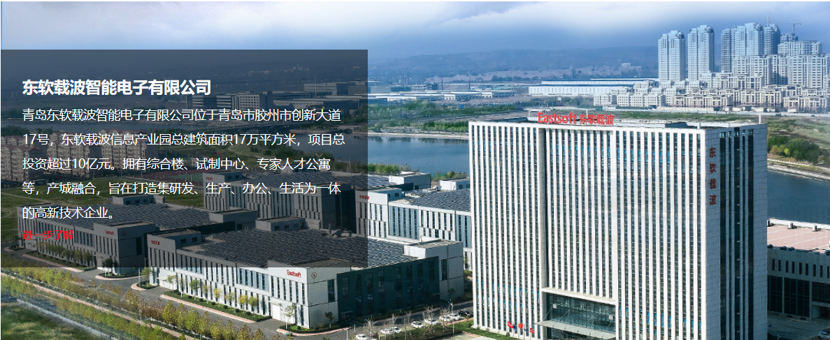 东软简介.png